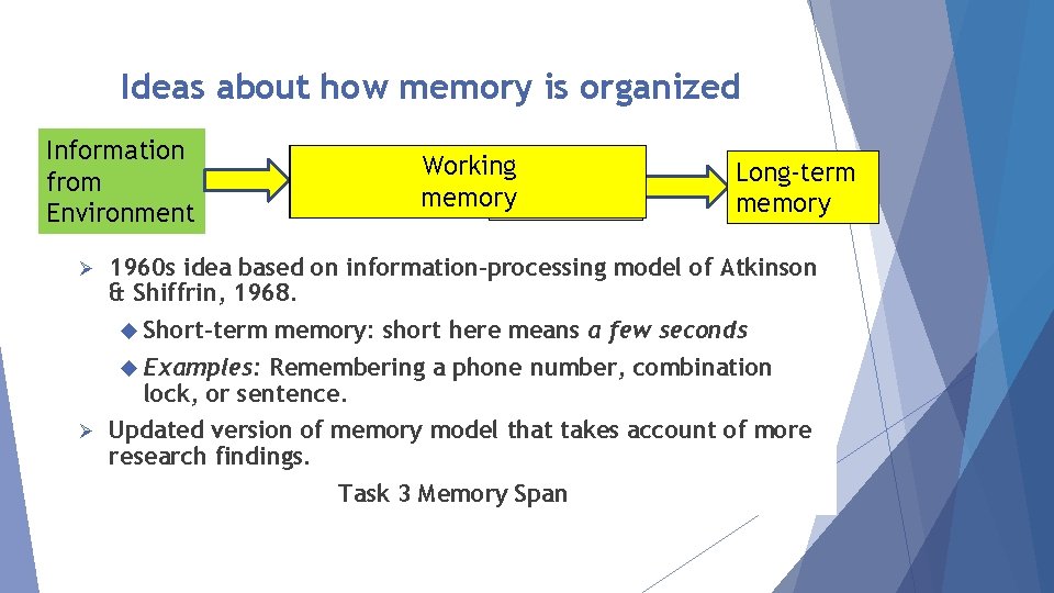 Ideas about how memory is organized Information from Environment Ø Sensory memory Working Short-term