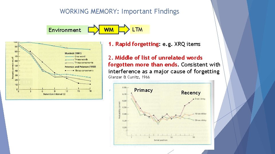 WORKING MEMORY: Important Findings Environment WM LTM 1. Rapid forgetting: e. g. XRQ items