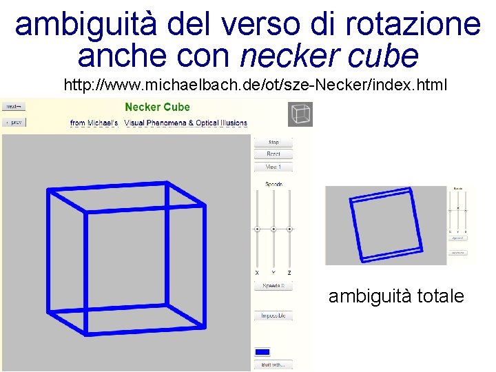 ambiguità del verso di rotazione anche con necker cube http: //www. michaelbach. de/ot/sze-Necker/index. html