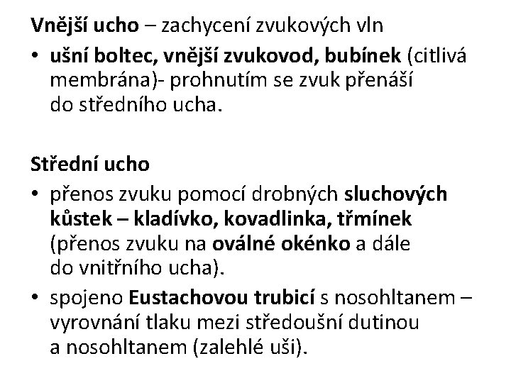 Vnější ucho – zachycení zvukových vln • ušní boltec, vnější zvukovod, bubínek (citlivá membrána)-