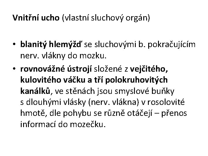 Vnitřní ucho (vlastní sluchový orgán) • blanitý hlemýžď se sluchovými b. pokračujícím nerv. vlákny