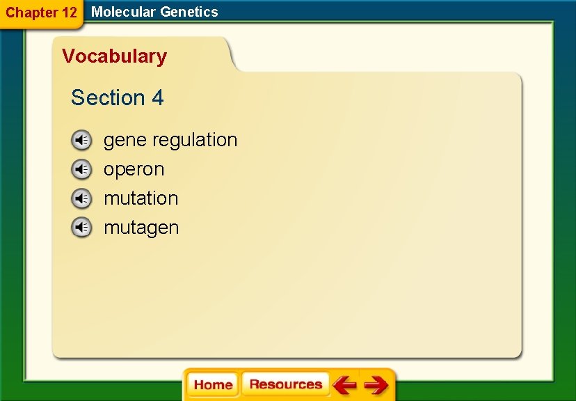 Chapter 12 Molecular Genetics Vocabulary Section 4 gene regulation operon mutation mutagen 