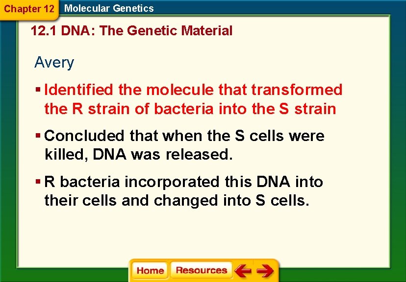 Chapter 12 Molecular Genetics 12. 1 DNA: The Genetic Material Avery § Identified the