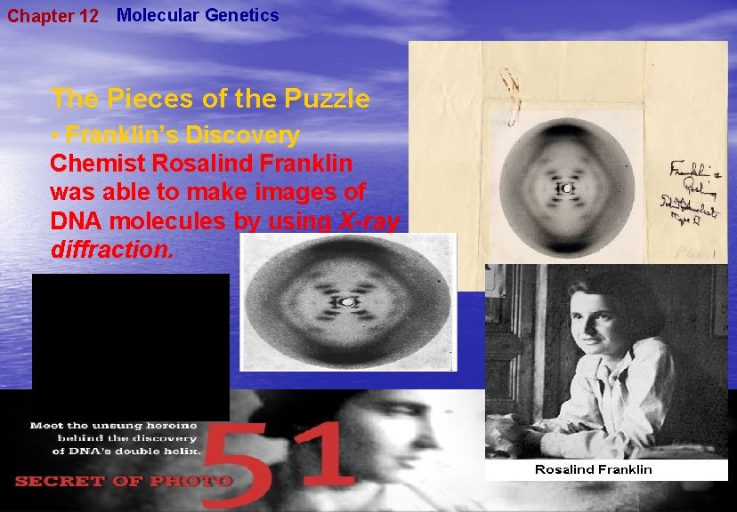 Chapter 12 Molecular Genetics The Pieces of the Puzzle • Franklin’s Discovery Chemist Rosalind