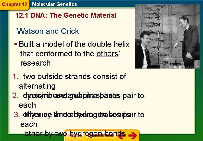 Chapter 12 Molecular Genetics 12. 1 DNA: The Genetic Material Watson and Crick §