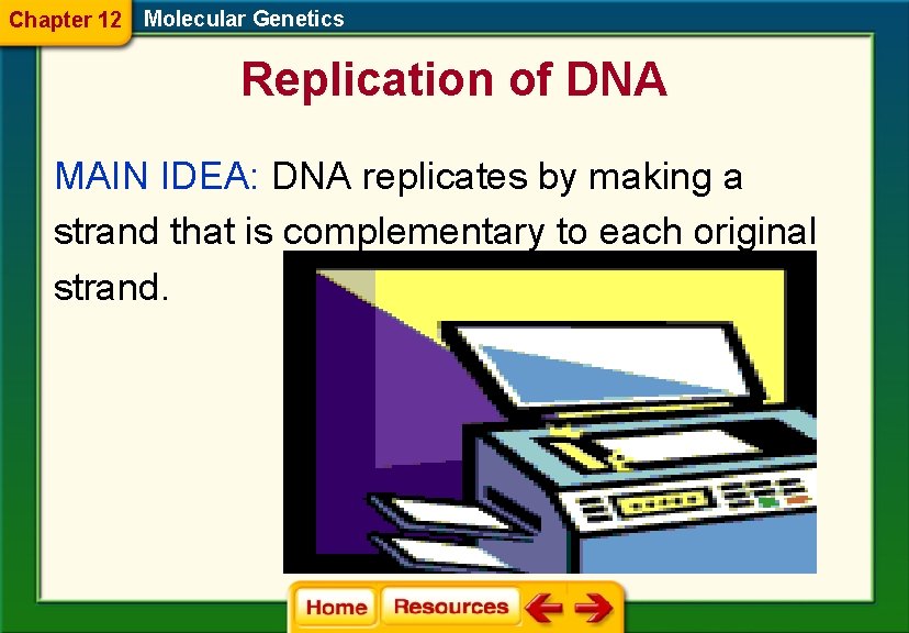 Chapter 12 Molecular Genetics Replication of DNA MAIN IDEA: DNA replicates by making a