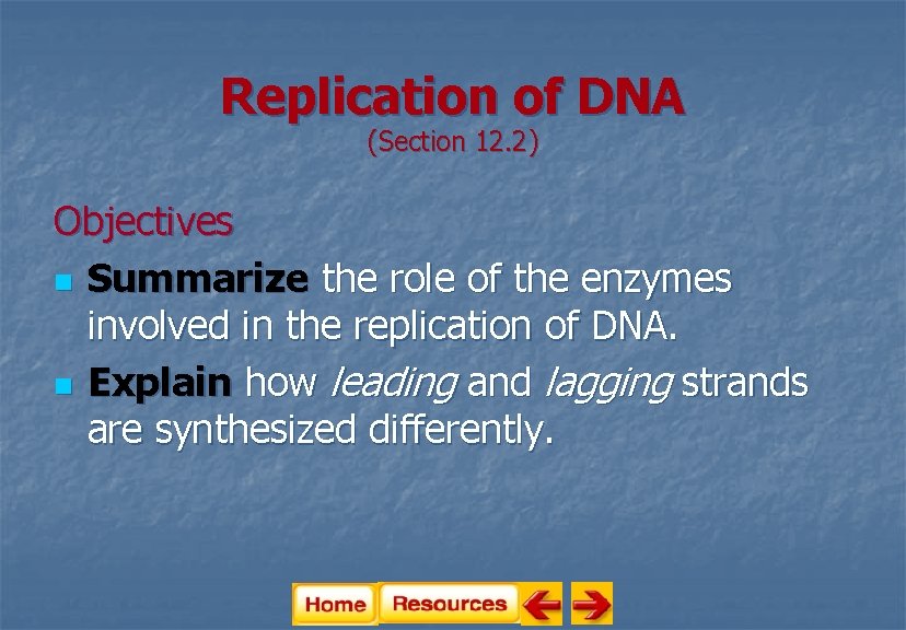 Replication of DNA (Section 12. 2) Objectives n Summarize the role of the enzymes