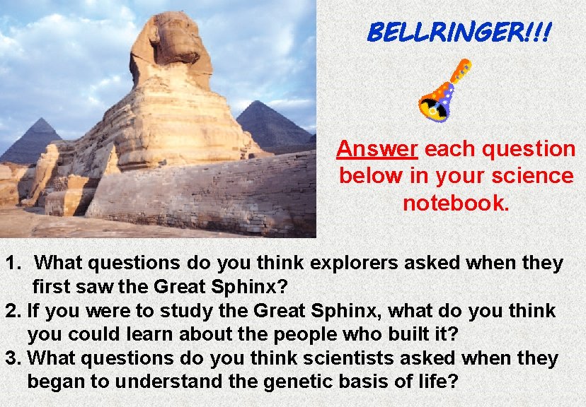 BELLRINGER!!! Answer each question below in your science notebook. 1. What questions do you