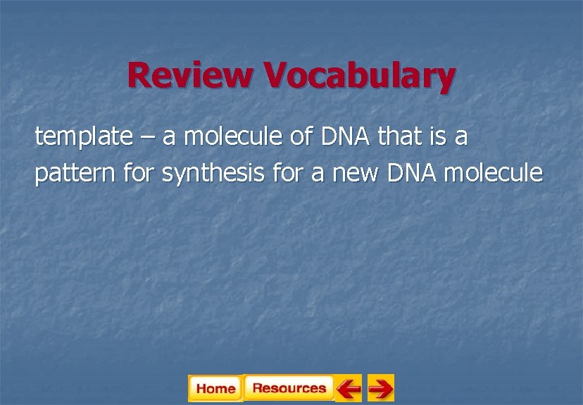 Review Vocabulary template – a molecule of DNA that is a pattern for synthesis