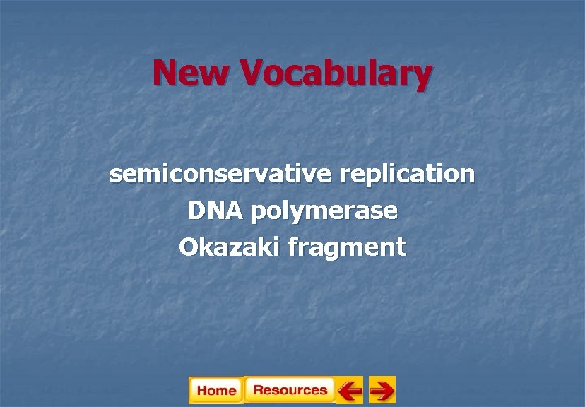 New Vocabulary semiconservative replication DNA polymerase Okazaki fragment 