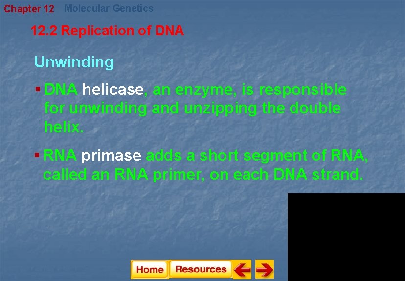 Chapter 12 Molecular Genetics 12. 2 Replication of DNA Unwinding § DNA helicase, an