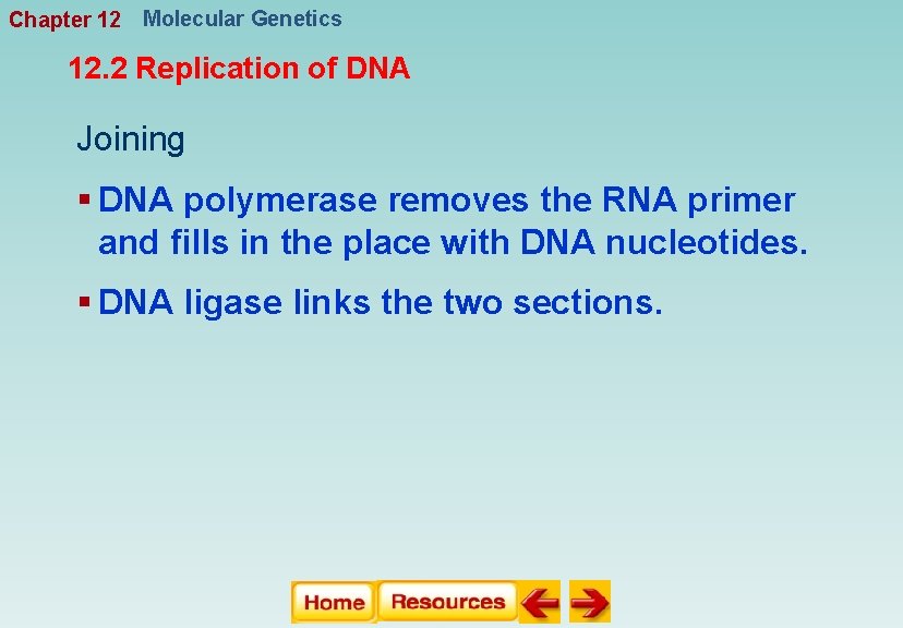 Chapter 12 Molecular Genetics 12. 2 Replication of DNA Joining § DNA polymerase removes