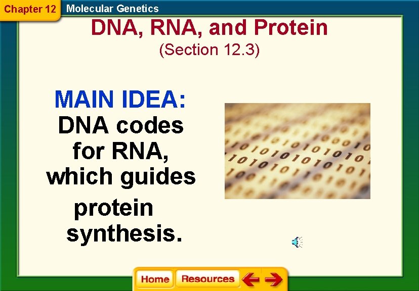 Chapter 12 Molecular Genetics DNA, RNA, and Protein (Section 12. 3) MAIN IDEA: DNA