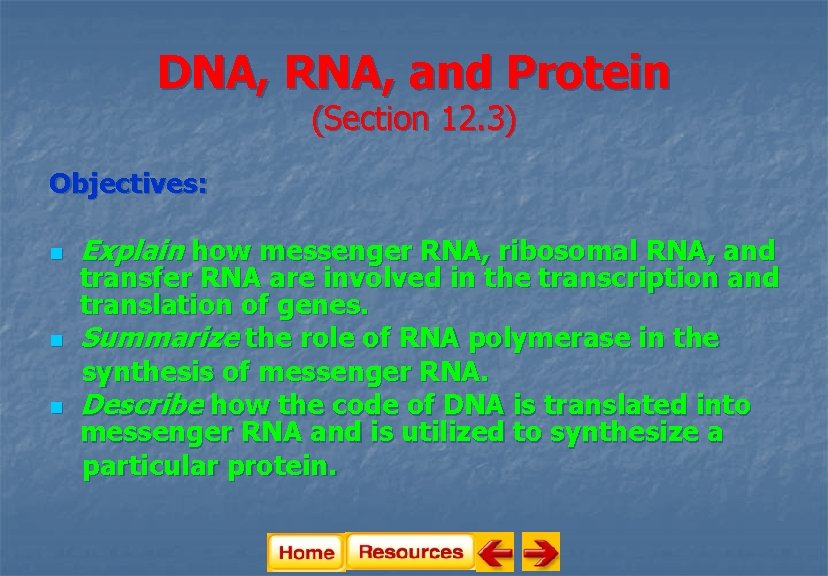 DNA, RNA, and Protein (Section 12. 3) Objectives: n n n Explain how messenger