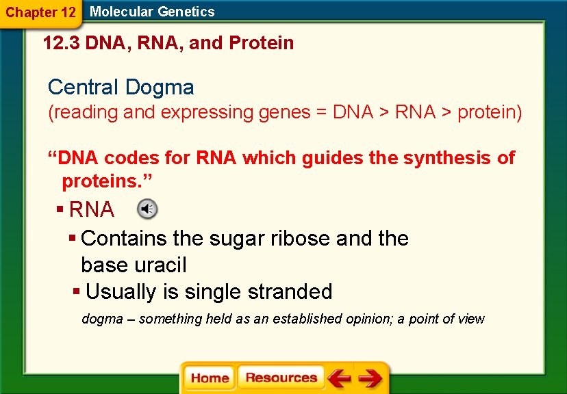 Chapter 12 Molecular Genetics 12. 3 DNA, RNA, and Protein Central Dogma (reading and