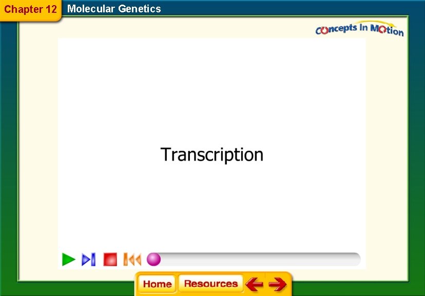 Chapter 12 Molecular Genetics 