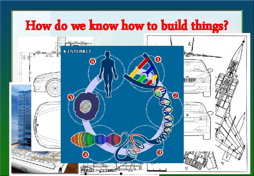 How do we know how to build things? Click on a lesson name to