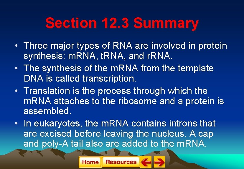 Section 12. 3 Summary • Three major types of RNA are involved in protein