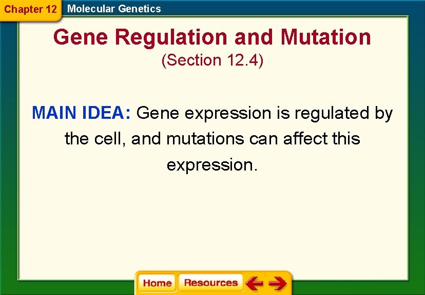 Chapter 12 Molecular Genetics Gene Regulation and Mutation (Section 12. 4) MAIN IDEA: Gene