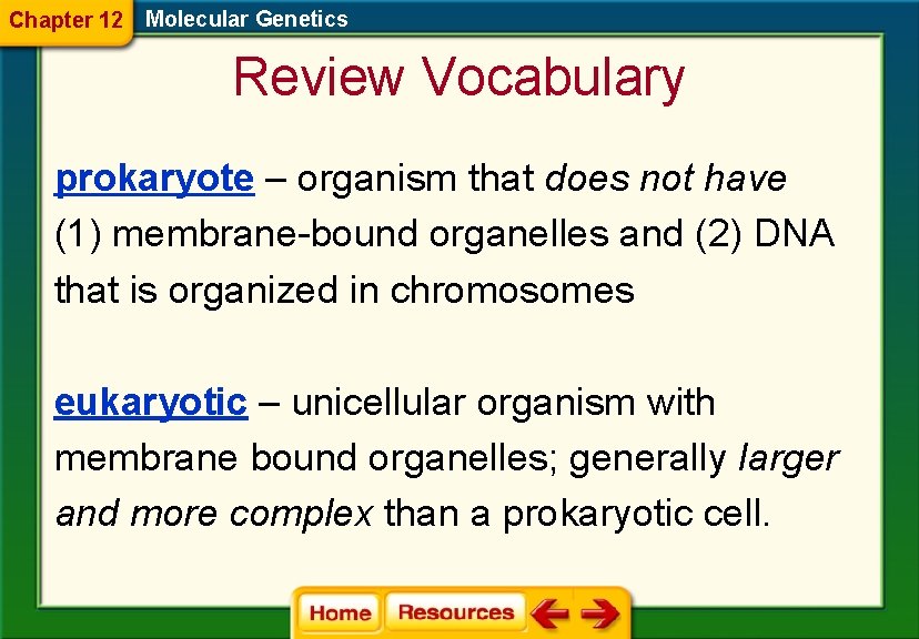 Chapter 12 Molecular Genetics Review Vocabulary prokaryote – organism that does not have (1)