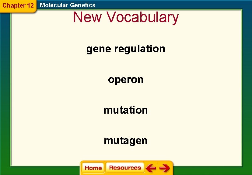 Chapter 12 Molecular Genetics New Vocabulary gene regulation operon mutation mutagen 