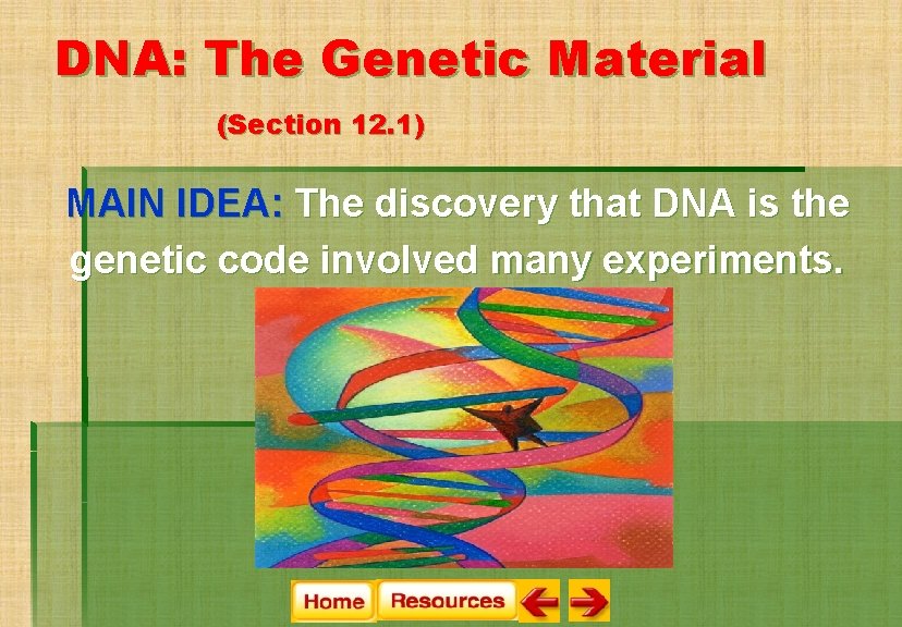 DNA: The Genetic Material (Section 12. 1) MAIN IDEA: The discovery that DNA is