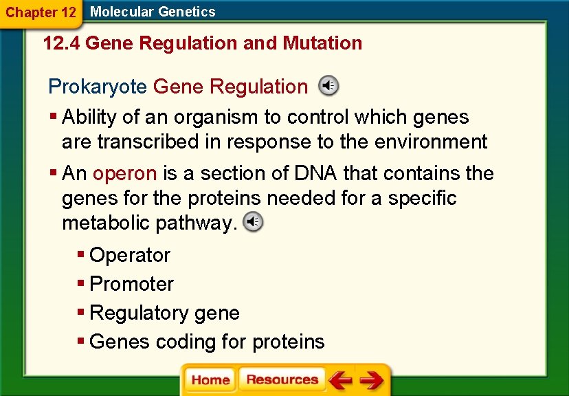 Chapter 12 Molecular Genetics 12. 4 Gene Regulation and Mutation Prokaryote Gene Regulation §