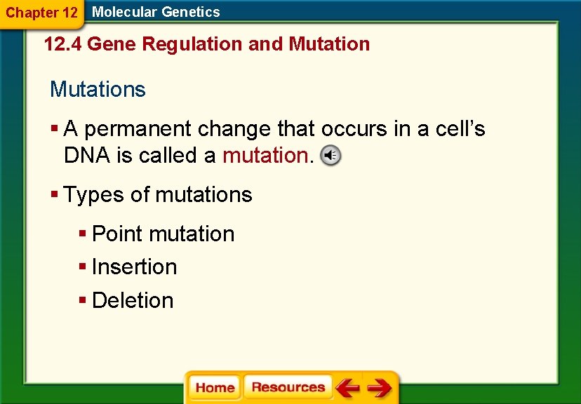 Chapter 12 Molecular Genetics 12. 4 Gene Regulation and Mutations § A permanent change