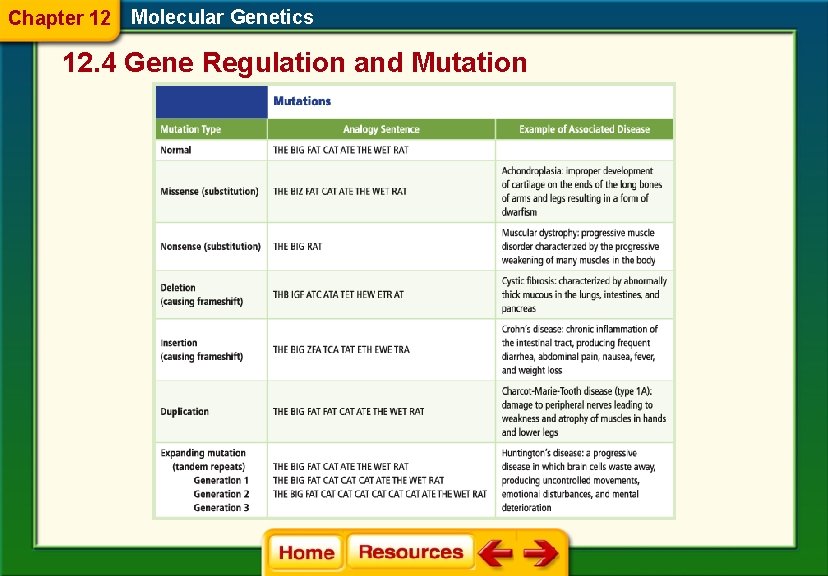 Chapter 12 Molecular Genetics 12. 4 Gene Regulation and Mutation 