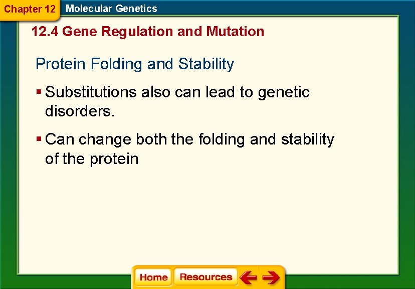 Chapter 12 Molecular Genetics 12. 4 Gene Regulation and Mutation Protein Folding and Stability