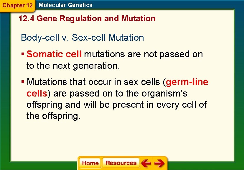 Chapter 12 Molecular Genetics 12. 4 Gene Regulation and Mutation Body-cell v. Sex-cell Mutation