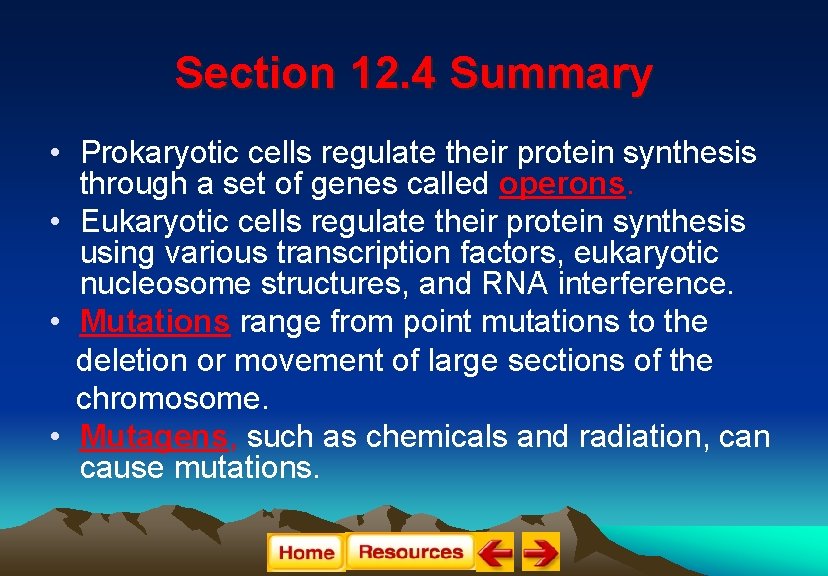 Section 12. 4 Summary • Prokaryotic cells regulate their protein synthesis through a set