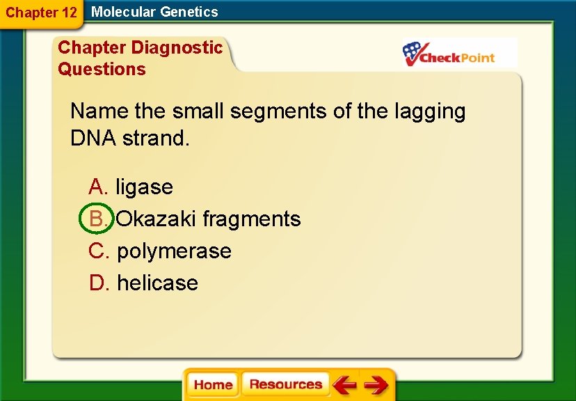Chapter 12 Molecular Genetics Chapter Diagnostic Questions Name the small segments of the lagging