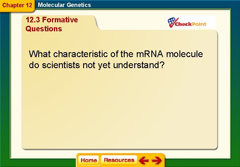 Chapter 12 Molecular Genetics 12. 3 Formative Questions What characteristic of the m. RNA