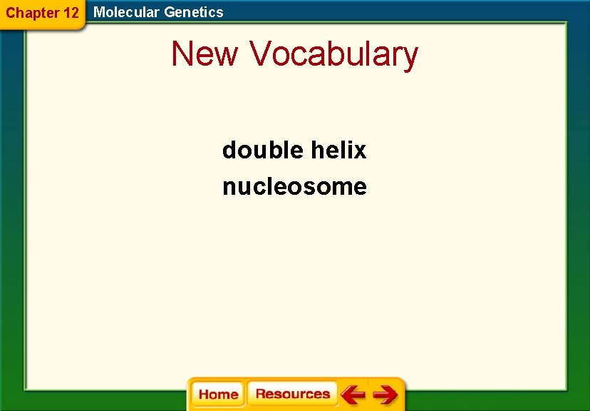 Chapter 12 Molecular Genetics New Vocabulary double helix nucleosome 