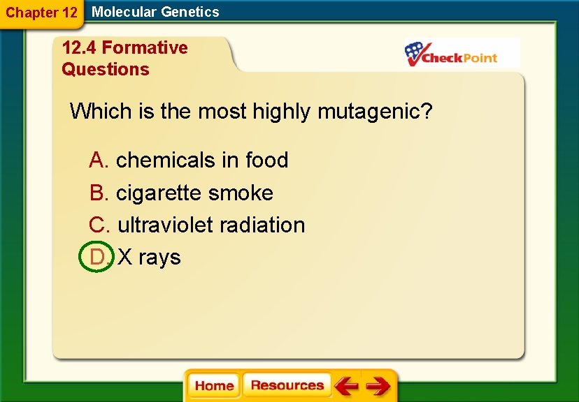 Chapter 12 Molecular Genetics 12. 4 Formative Questions Which is the most highly mutagenic?