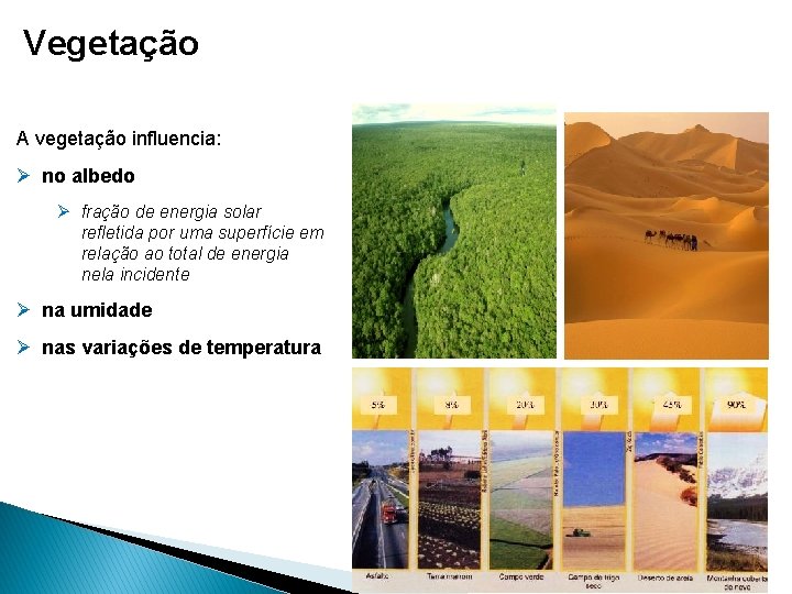 Vegetação A vegetação influencia: Ø no albedo Ø fração de energia solar refletida por