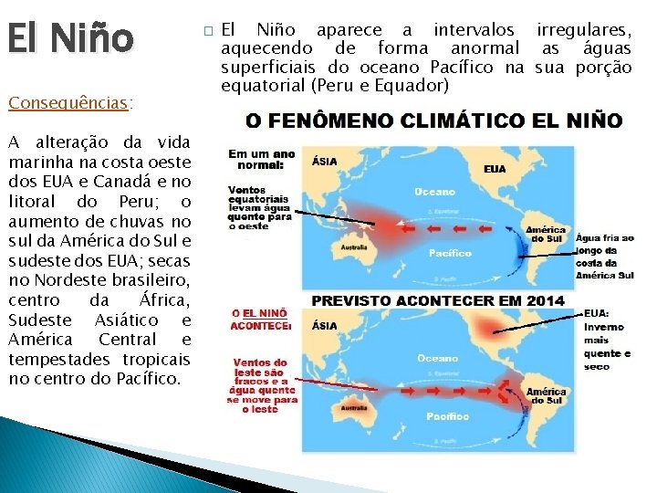 El Niño Consequências: A alteração da vida marinha na costa oeste dos EUA e