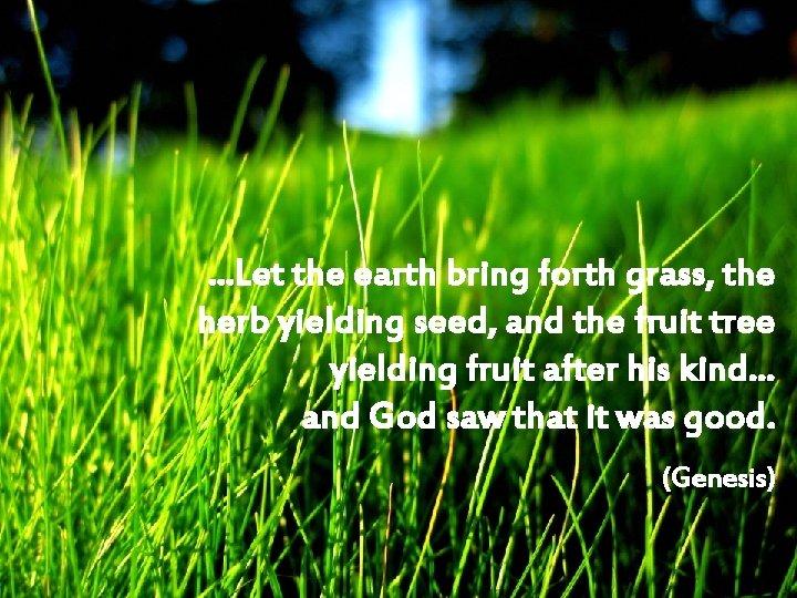 …Let the earth bring forth grass, the herb yielding seed, and the fruit tree