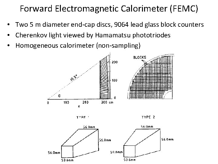 Forward Electromagnetic Calorimeter (FEMC) • Two 5 m diameter end-cap discs, 9064 lead glass Forward Electromagnetic Calorimeter (FEMC) • Two 5 m diameter end-cap discs, 9064 lead glass