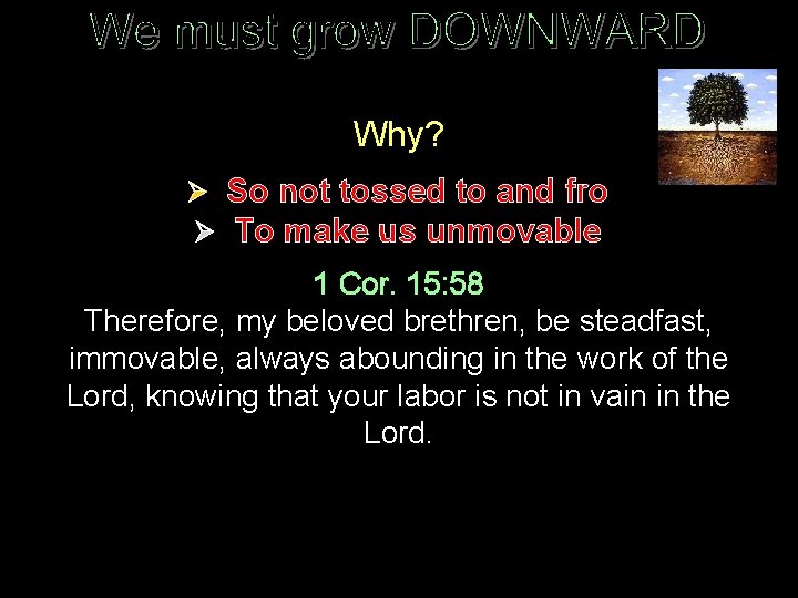 Why? Ø So not tossed to and fro Ø To make us unmovable 1