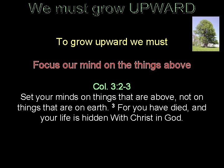 To grow upward we must Focus our mind on the things above Col. 3: