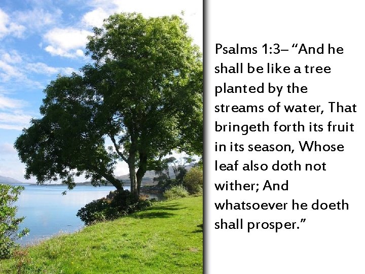 Psalms 1: 3– “And he shall be like a tree planted by the streams