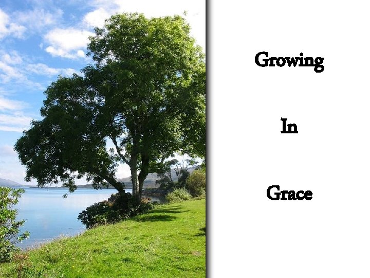 Growing In Grace 