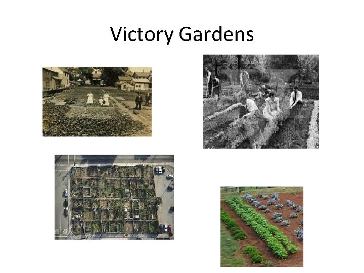 Victory Gardens Victory Gardens