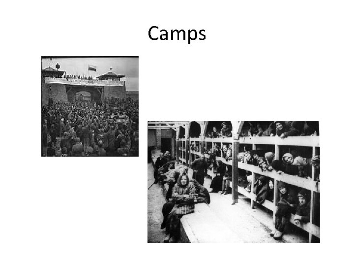 Camps Camps