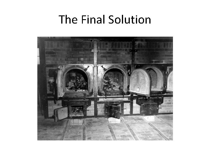 The Final Solution The Final Solution