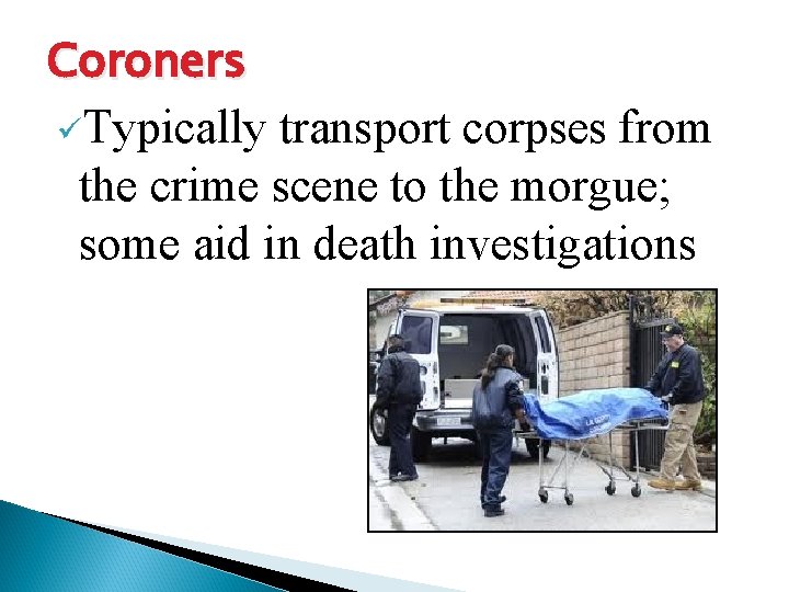 Coroners üTypically transport corpses from the crime scene to the morgue; some aid in