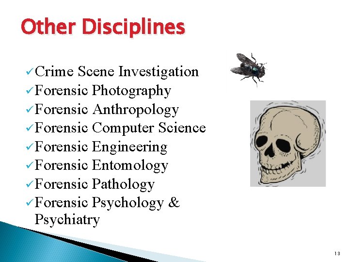 Other Disciplines ü Crime Scene Investigation ü Forensic Photography ü Forensic Anthropology ü Forensic