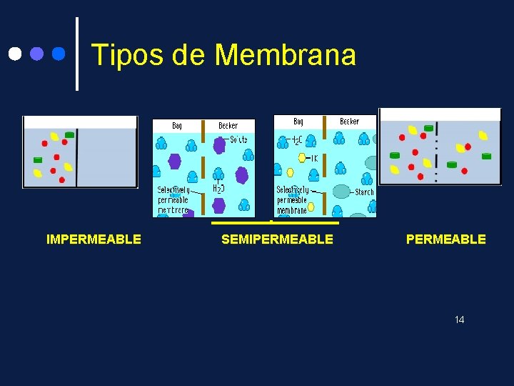 Tipos de Membrana IMPERMEABLE SEMIPERMEABLE 14 